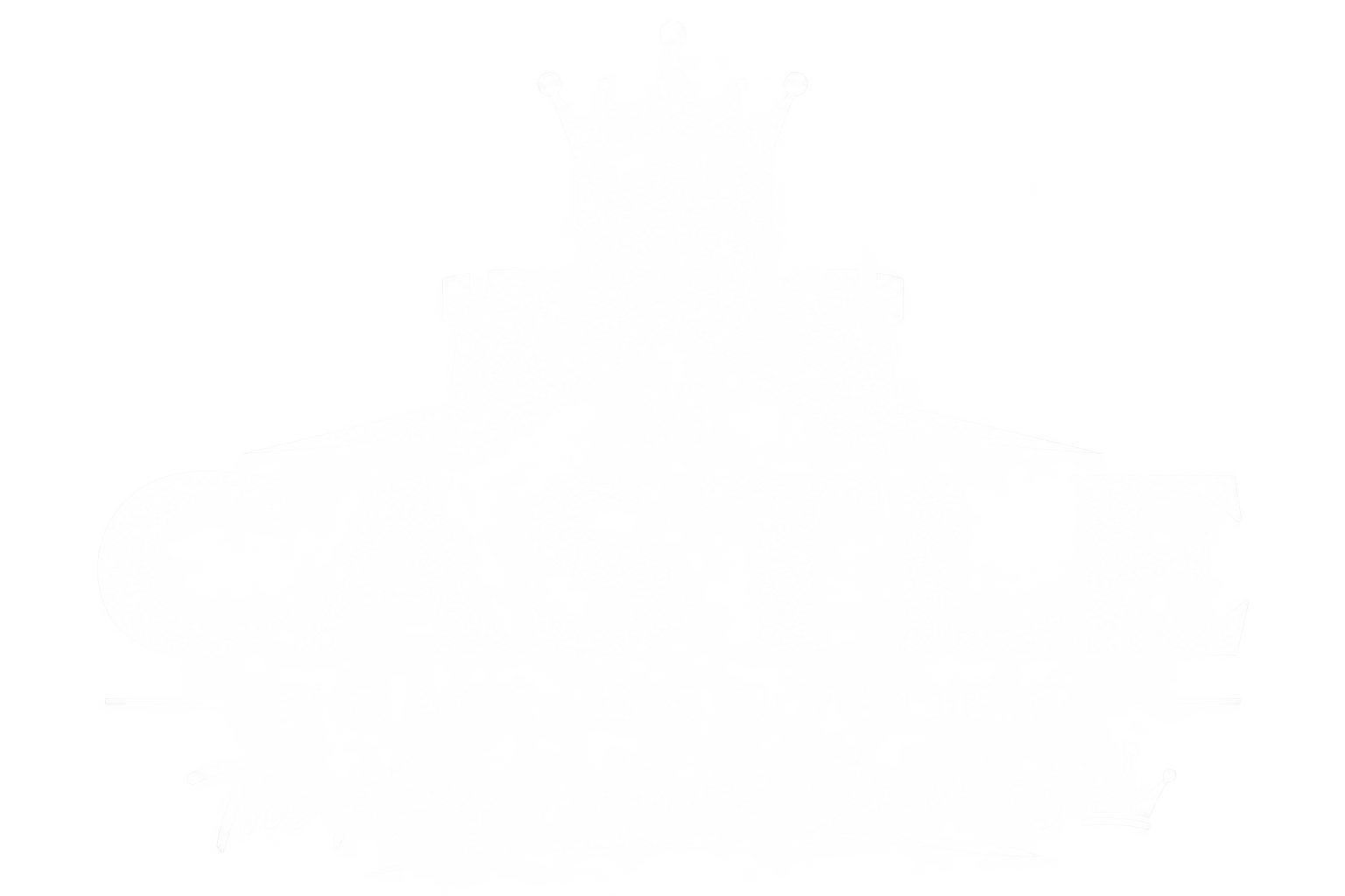 Castle Home Services